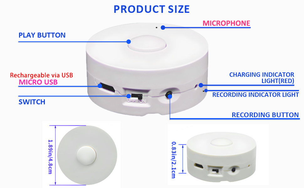 Stuffed animal recorder