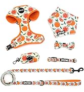 EPETKO Small Dog Harness and Leash Set of 6, No Pull Soft Lightweight Mesh Puppy Harness, Adjusta...