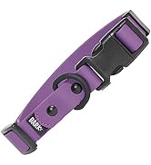 BarkBox Odor Proof & Waterproof Dog Collar - Adjustable Size for Puppies & Adult Dogs - Medium - ...