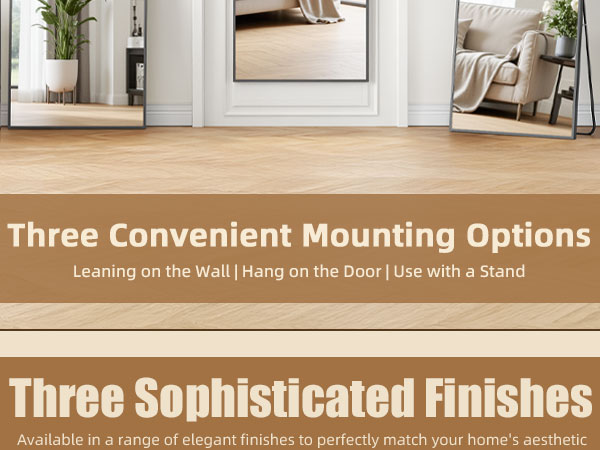 Antok Door Mirror, Full Length Mirror Over The Door, 49'' x 15'' Hanging Mirrors, Wall Mirrors