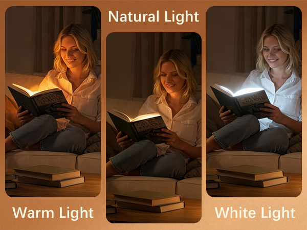 LED Book Light and Night Light 2 in 1