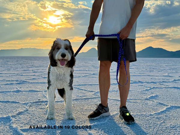 double handle dog leash, dog leash with two cushioned handles
