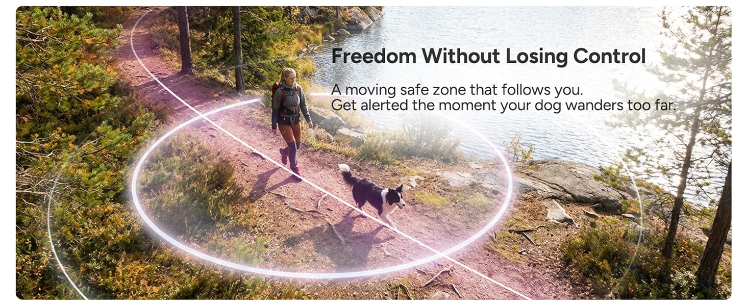 dog tracking collar