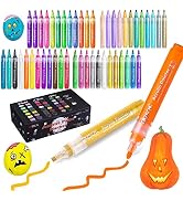 Paint Pens Acrylic Markers, ZSCM 56 Colors Paint Markers for Halloween Pumpkin Painting, Metallic...