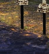 Halloween Candle Light Stakes