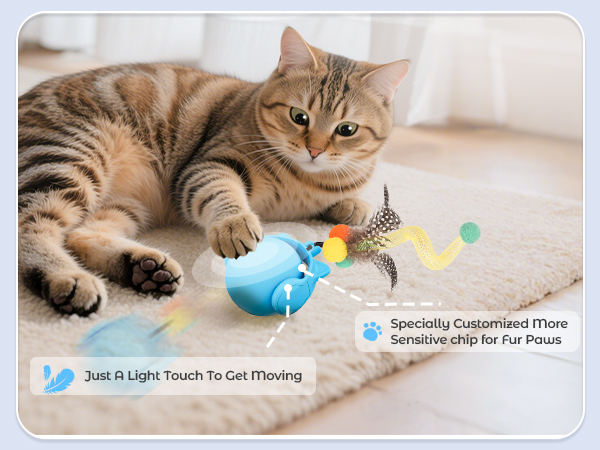 orsda cat toy