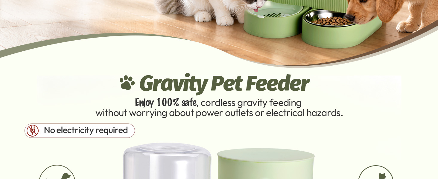 automatic pet feeder
