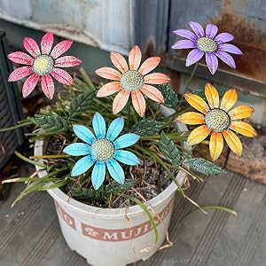 garden decor