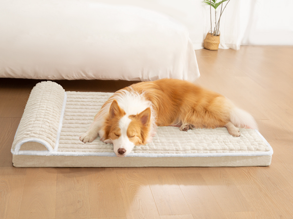 dog bed large sized dog