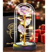 Otlonpe Christmas Rose Flower Gifts for Women, Mom Gifts for Christmas Valentines Mothers Day Bir...