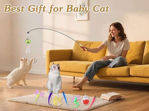 cat toys