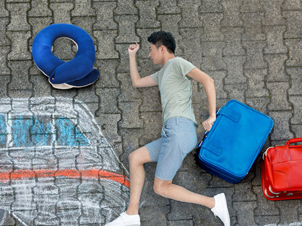 305 travel pillow