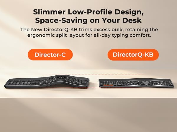 sdfsd