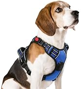 rabbitgoo Dog Harness Medium Sized, No Pull Pet Harness with 3 Buckles, Adjustable Soft Padded Do...
