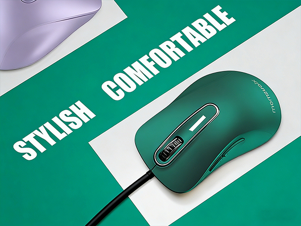 mouse