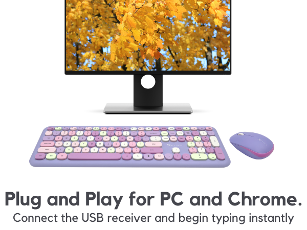 Wireless mouse and keyboard combo