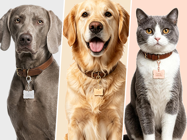 Dog ID Tag