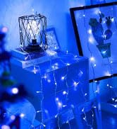 100LED String Lights