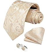 HISDERN Ties for Men Paisley Tie and Pocket Square Cufflinks Set Formal Classic Floral Necktie Ha...