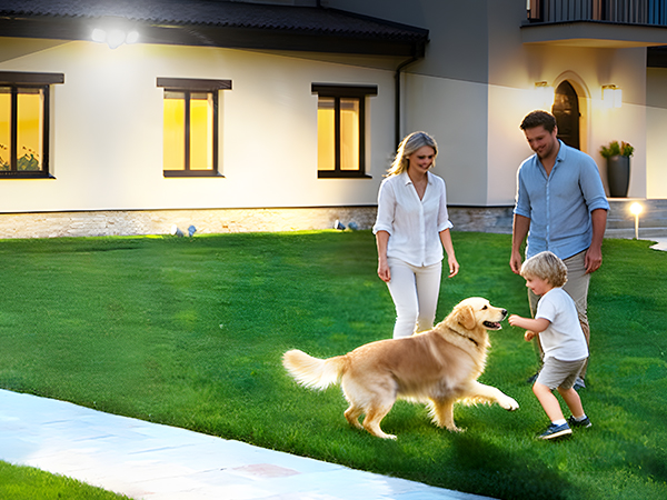 solar motion sensor light