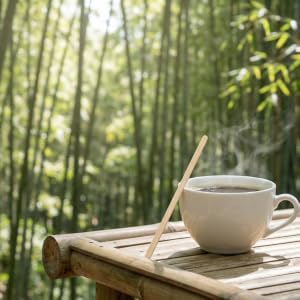 coffee cup bamboo