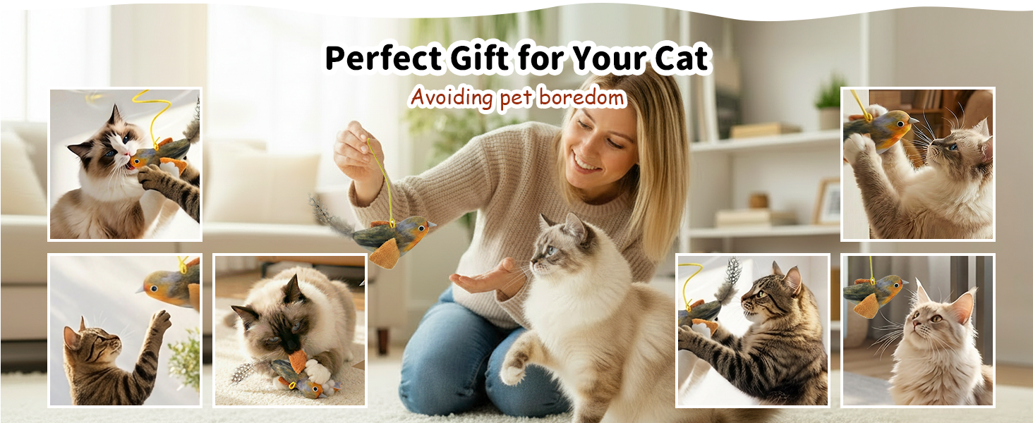 Perfect Gift for Your Cat
