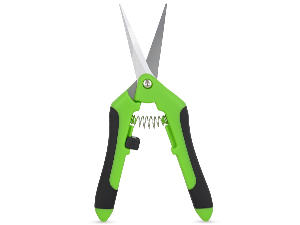 YDRY254
