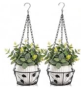 Goaste 2 Pack Metal Plant Hanger, Hanging Plant Holder with Ceiling Hook, Modern Plant Hanging Ba...