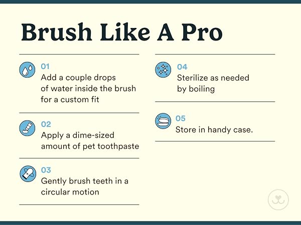 brush like a pro