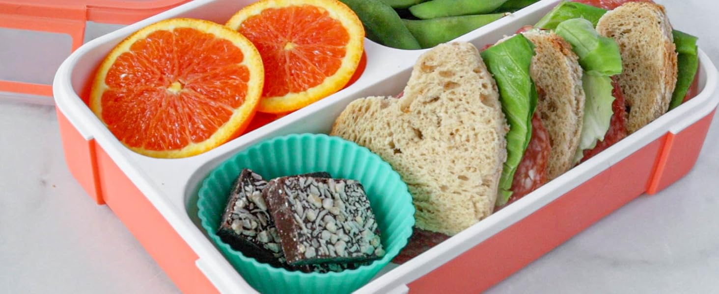 bento lunch container for snacks meal lunches