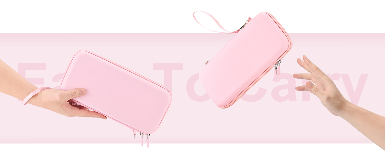 Nintendo switch 2 case