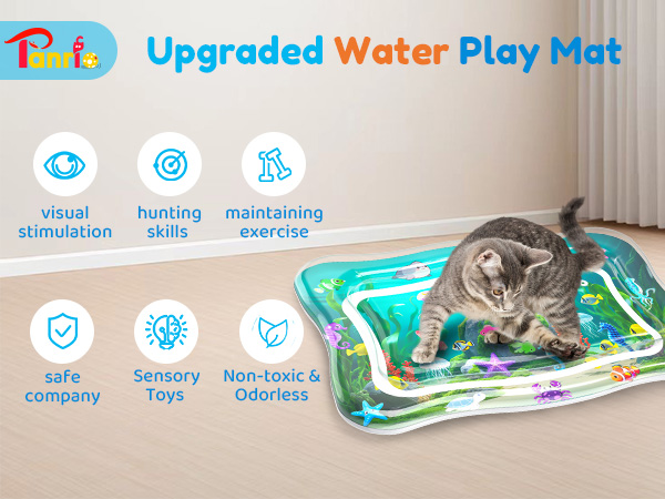 cat toys interactive