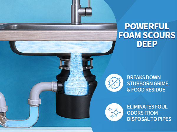 garbage disposal cleaner and deodorizer