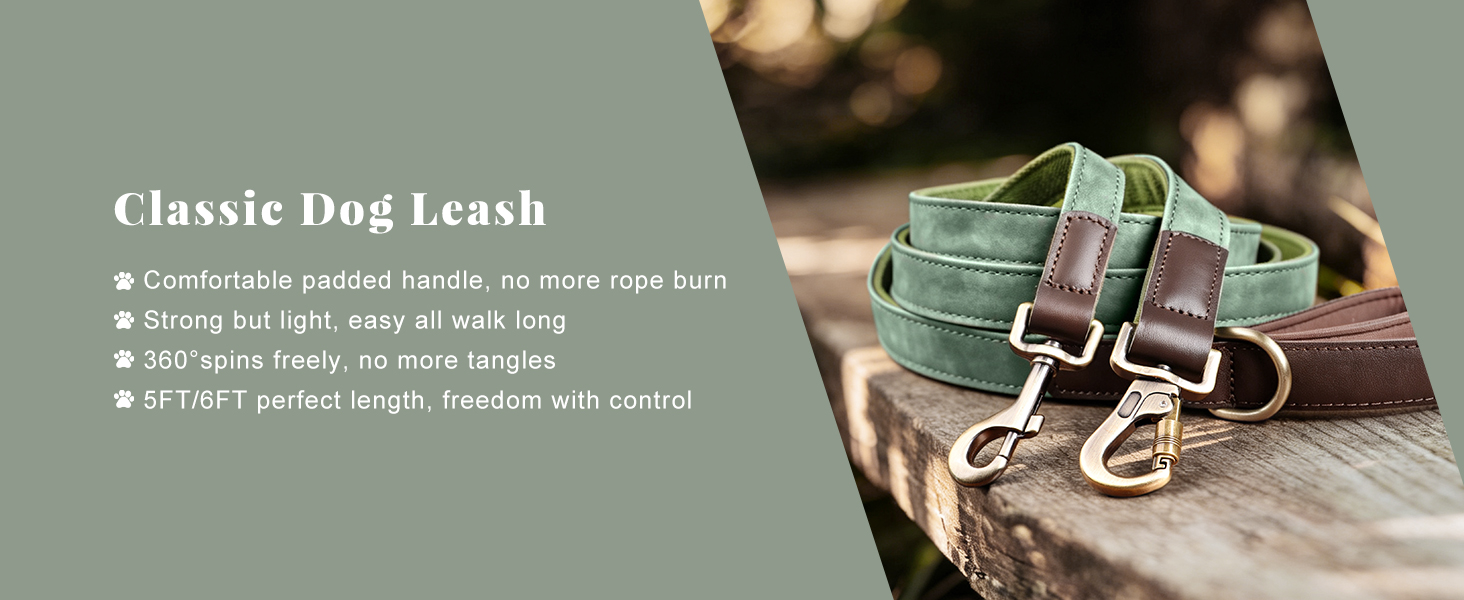 classic dog leash