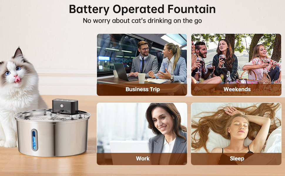 cat water fountain wireless