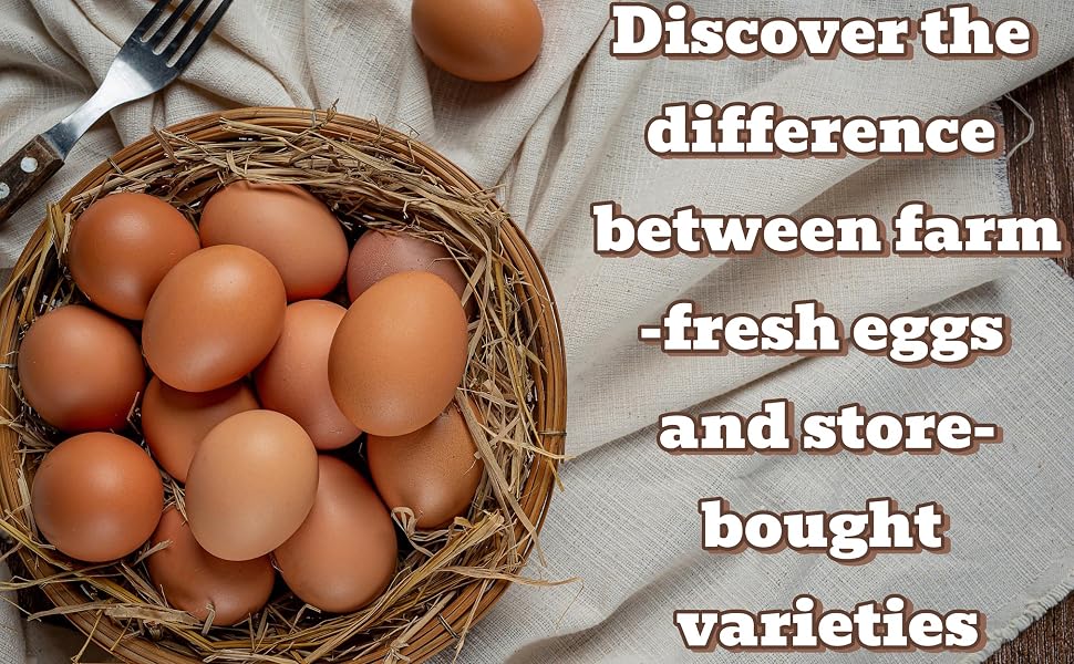 eggs 18 count fresh; egg cartons cheap bulk; egg cartons bulk; egg stamp;