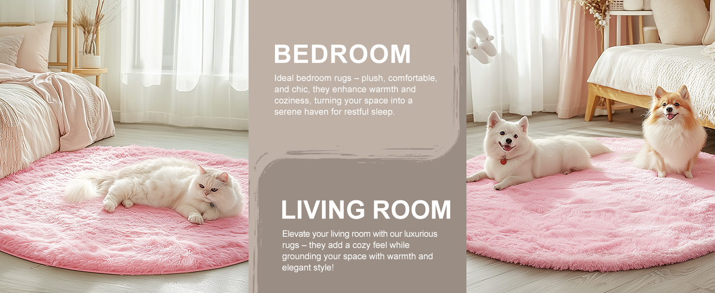 area rug