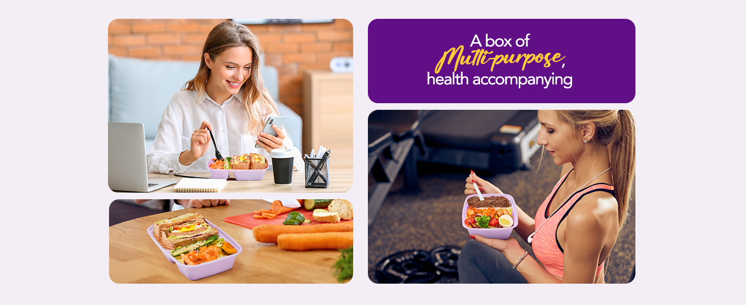 disposable lunch box