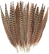 iHUFeather 20pcs Natural Pheasant Feathers, Male Tails Feathers 6-8inch for DIY Crafts Wedding Pa...