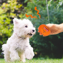 Coricorsu Squeaky dog toys