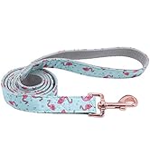 ARING PET Dog Leash, Cotton & Webbing Strong Dog Leashes, Handmade Walking Dog Leash for Small Me...