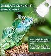 reptile light