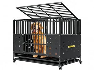https://m.media-amazon.com/images/S/aplus-media-library-service-media/51ababc4-3f21-40e9-8432-99f1fe541ca7.__CR0,0,2388,1791_PT0_SX300_V1___.png
