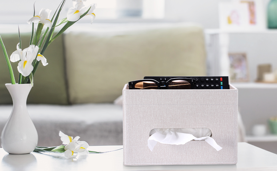 Rectangular Tissue Holder with Storage Tray