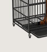 dog crate