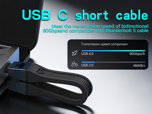 short usb c cable