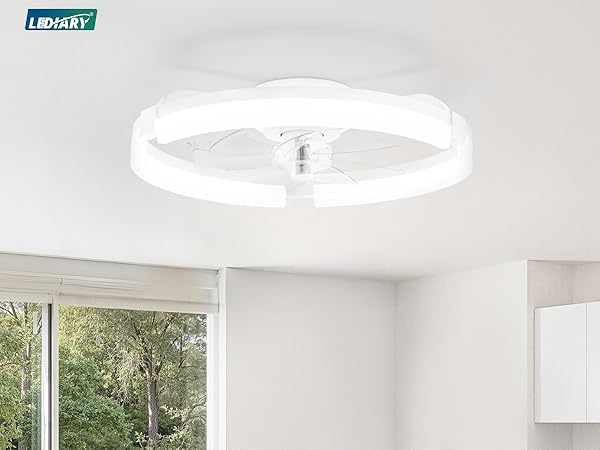 ceiling fans with lights