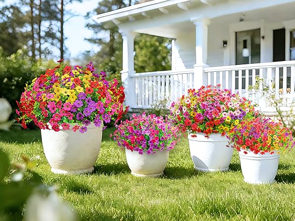 flowers for decoration