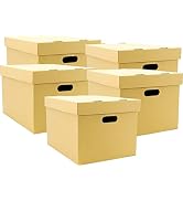 Lineco, RTA Record Storage Carton, 12x 15x 10 Inch, Archival Acid-Free Buffered Double Layered Pa...