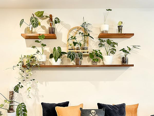 floating plant shelves